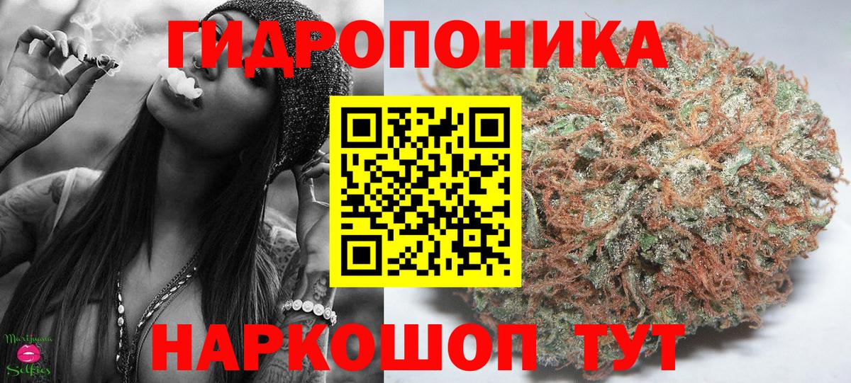 Марихуана OG Kush Свободный