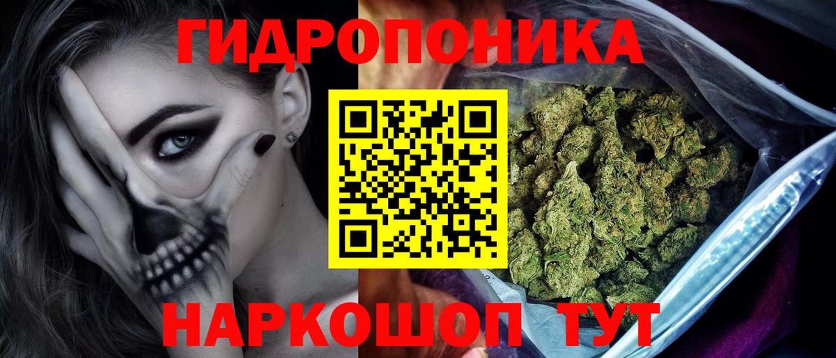 Шишки марихуана семена  Конопля планчик  Вход с VPN  Канабис White Widow  Свободный 
